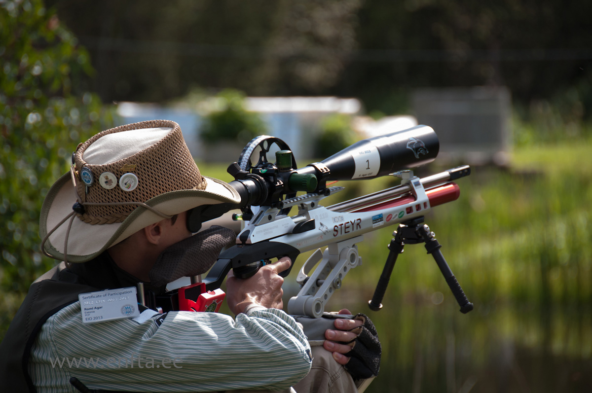 Romi Agar EE, Steyr LG 110 Field Target, Nikko Stirling Diamond 10-50x60